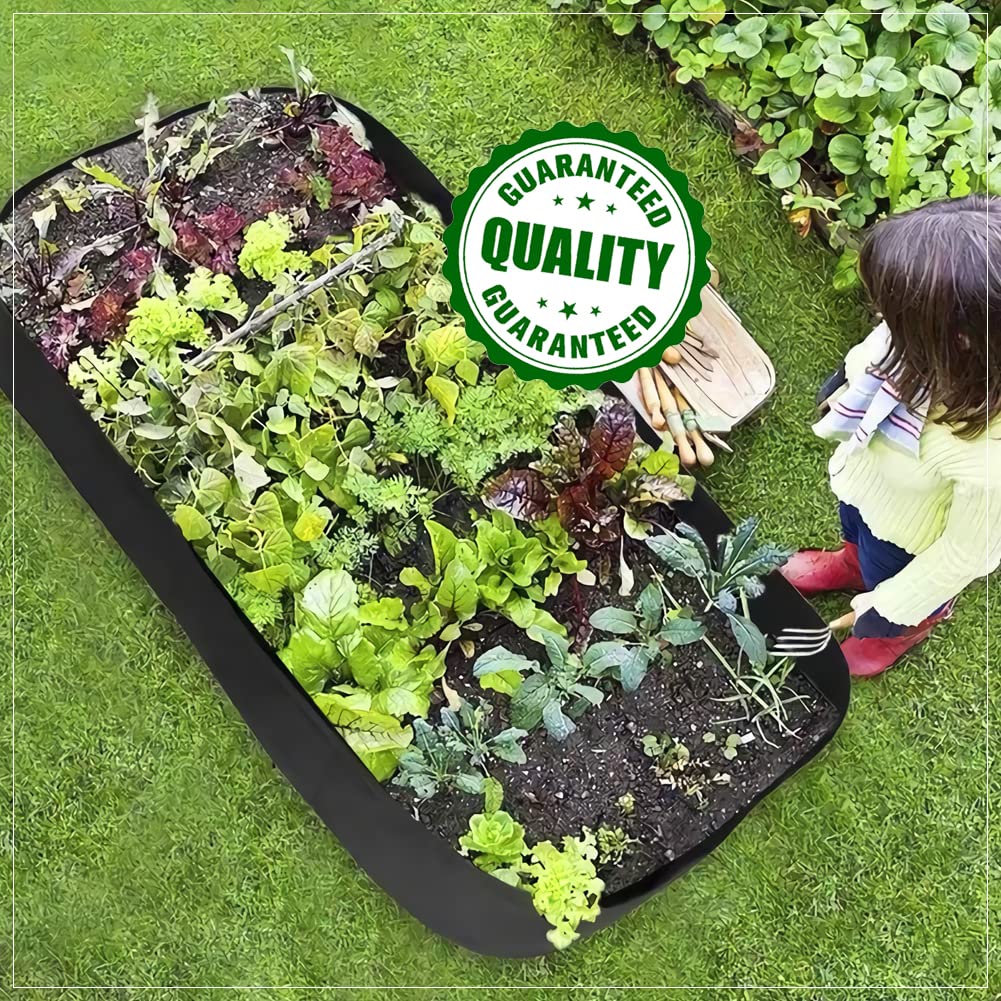 Roveinsia neat garden plot using rectangle planter bags for tidy growing