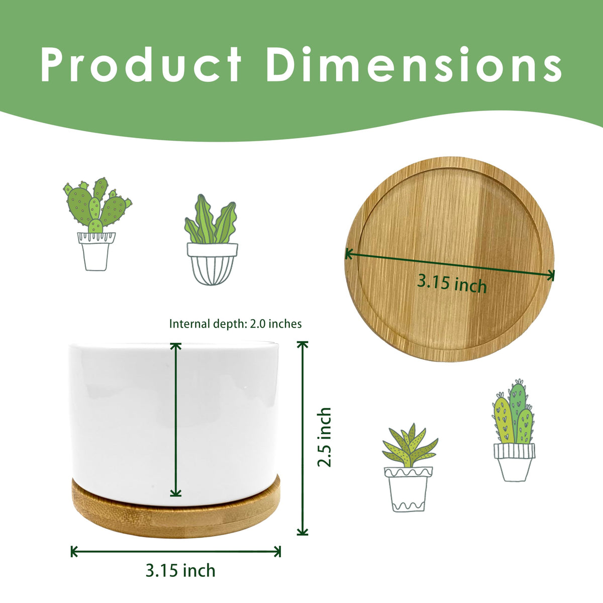 ROXMART planter with drainage hole helps simple plant care.