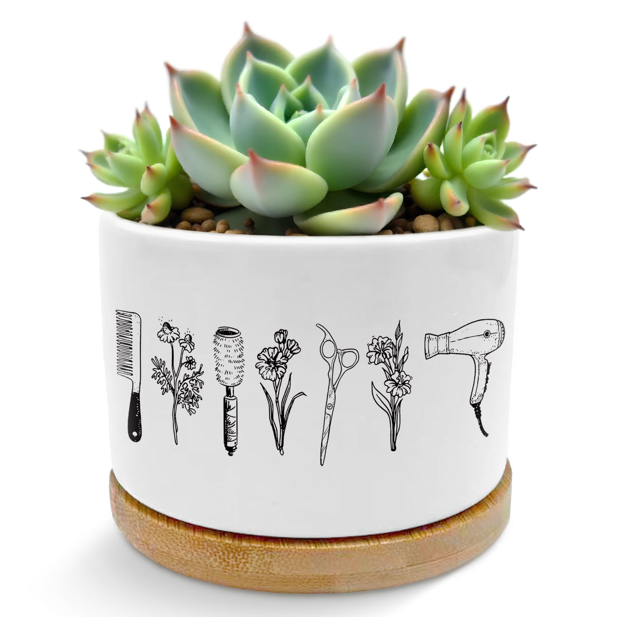 ROXMART hairdresser planter front view on a wooden tray, ideal for desks.