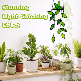 Royxen ready-to-hang-display includes chain and hook for easy setup.