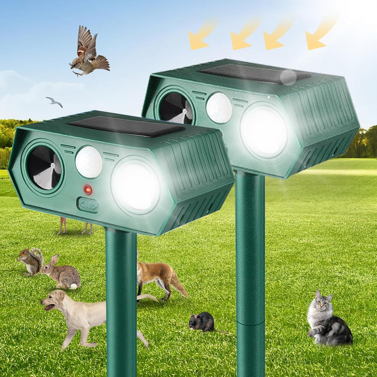 RQQN Solar Animal Repellent front view shows compact garden protection