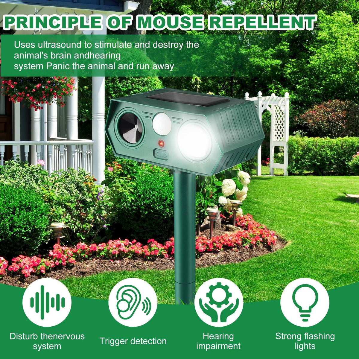 RQQN Solar Animal Repellent IP66 waterproof build withstands rain and sun exposure