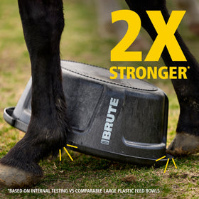 Rubbermaid Brute 6-gallon feeder side view highlights built-in grips for safe carrying