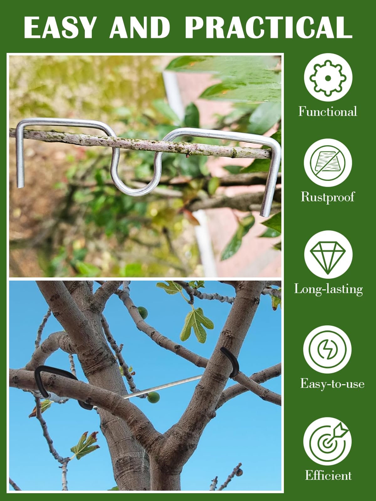 Rubierine seedling shaping tool boosts airflow and light reach