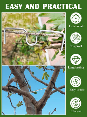Rubierine seedling shaping tool boosts airflow and light reach