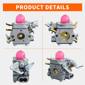 Carburetor kit with spark plug and fuel filter for clean fuel flow