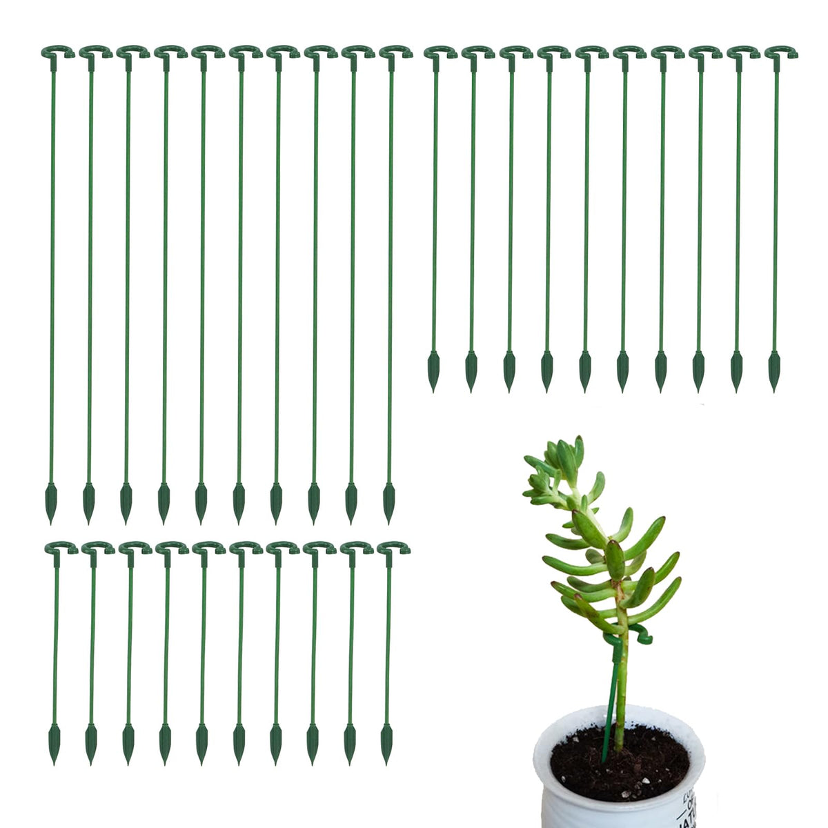 Ruksifg plant stake pack with green hoops provides discreet support.