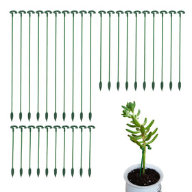 Ruksifg plant stake pack with green hoops provides discreet support.