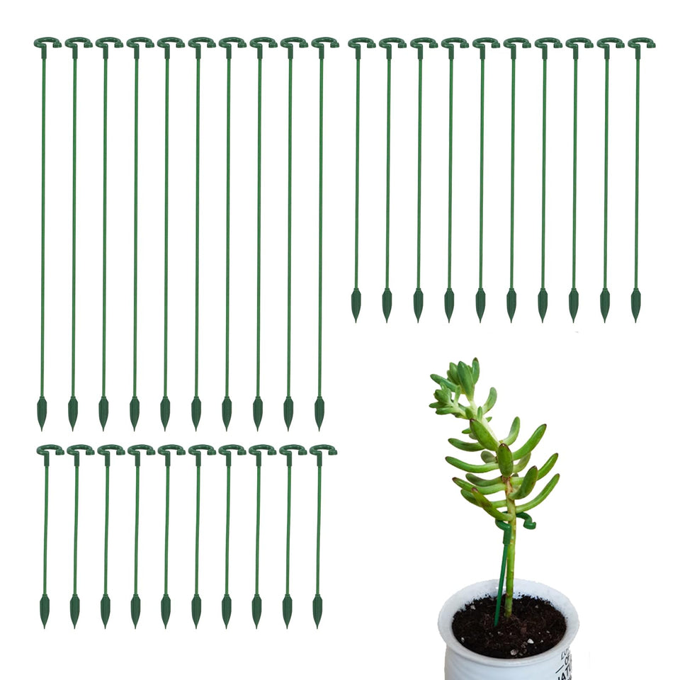 Ruksifg plant stake pack with green hoops provides discreet support.