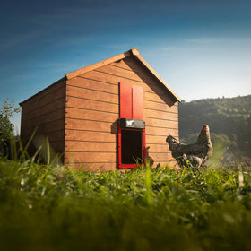 RUN-CHICKEN Door Eternal app control shows timer and daylight scheduling.
