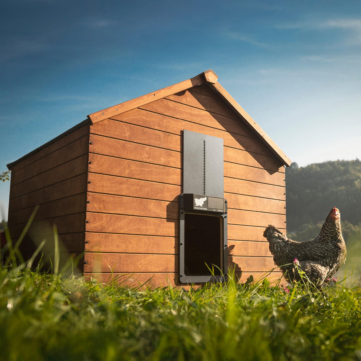 RUN-CHICKEN Door Eternal predator-proof aluminum frame with secure lock.
