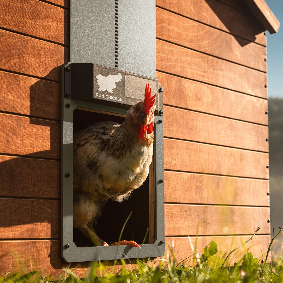 RUN-CHICKEN Door Eternal smart app enables timer-based control or daylight automation.