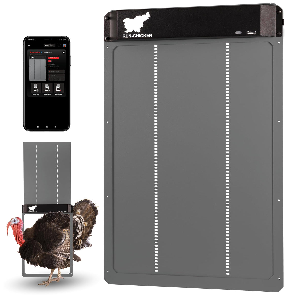 RUN-CHICKEN Door Giant front view shows rugged aluminum build for ducks and turkeys
