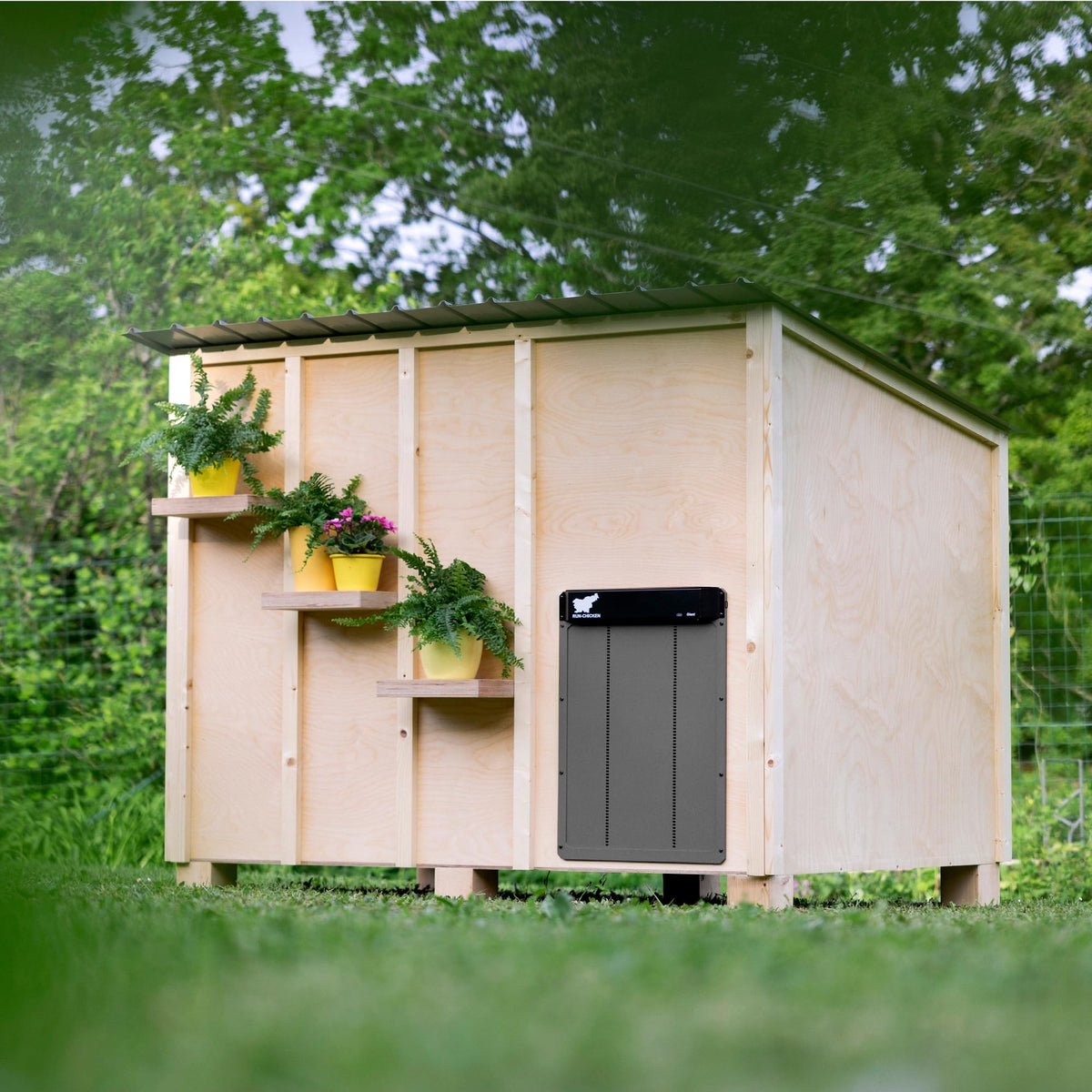 RUN-CHICKEN Door Giant predator protection feature deters raccoons at night