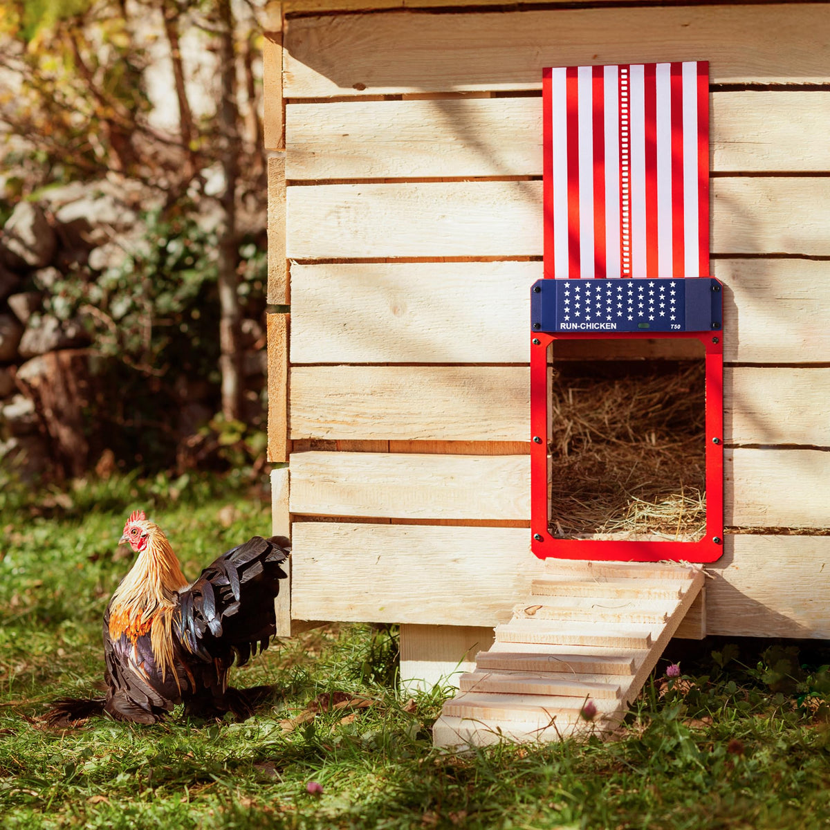 RUN-CHICKEN T50 door close timer highlights hands-free operation in any season.
