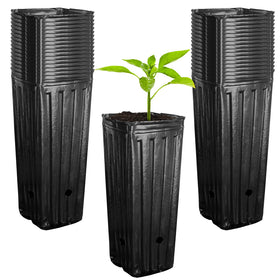 RunNico 50-pack deep nursery pots, side view, sturdy tall seedling support.