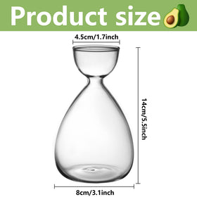 RunNico avocado seed starter vase, transparent glass shows root growth beautifully.