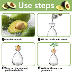 RunNico avocado starter vase with stickers for easy DIY decorating.
