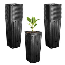 RunNico deep pot 9.8-inch tall for sturdy seedling growth indoors