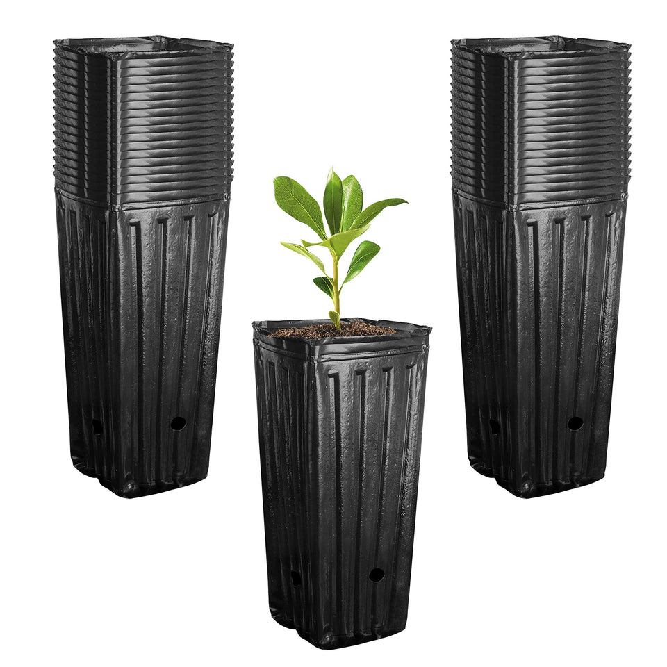 RunNico deep pot 9.8-inch tall for sturdy seedling growth indoors