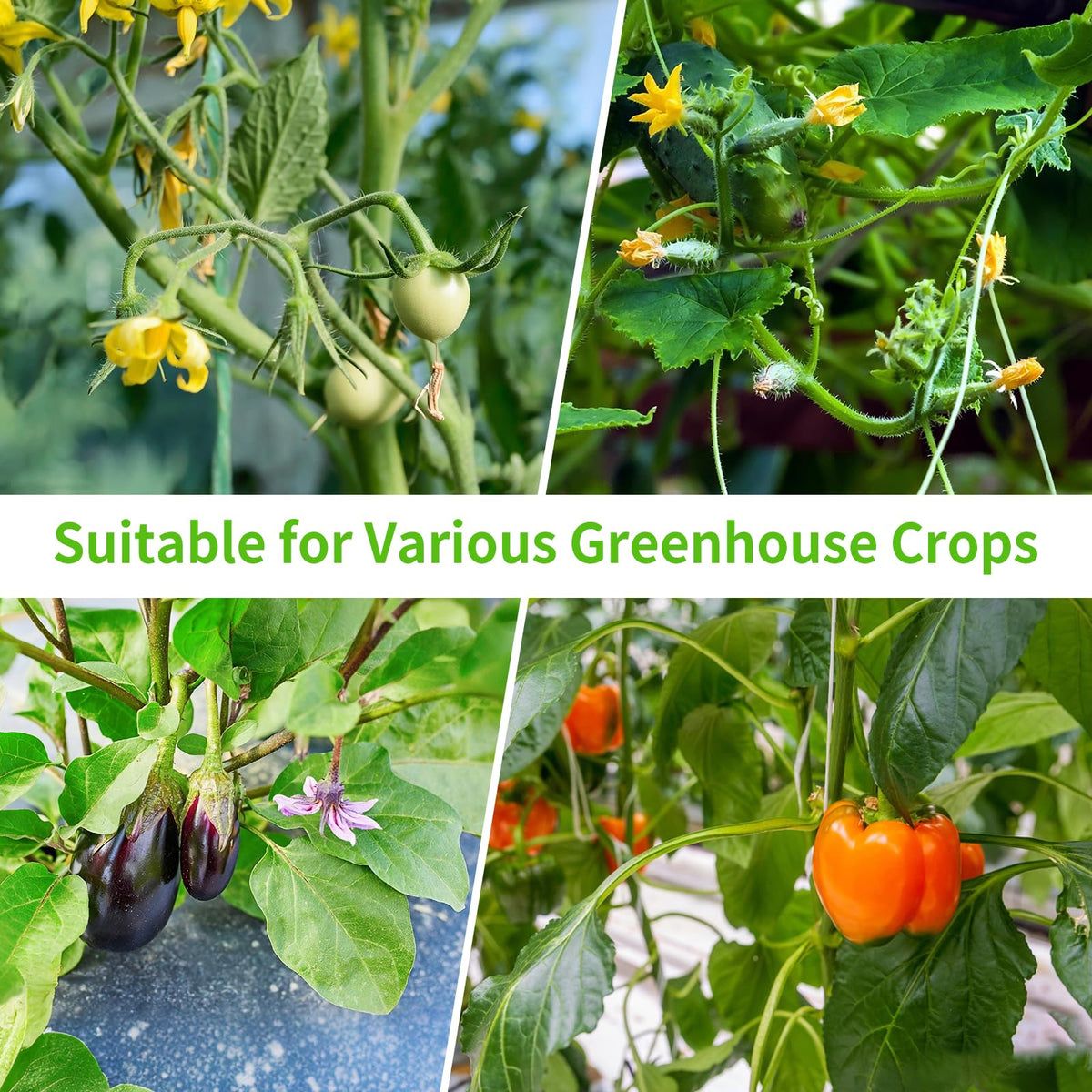 RUNWUSHENG pollination tool compact design for easy handling