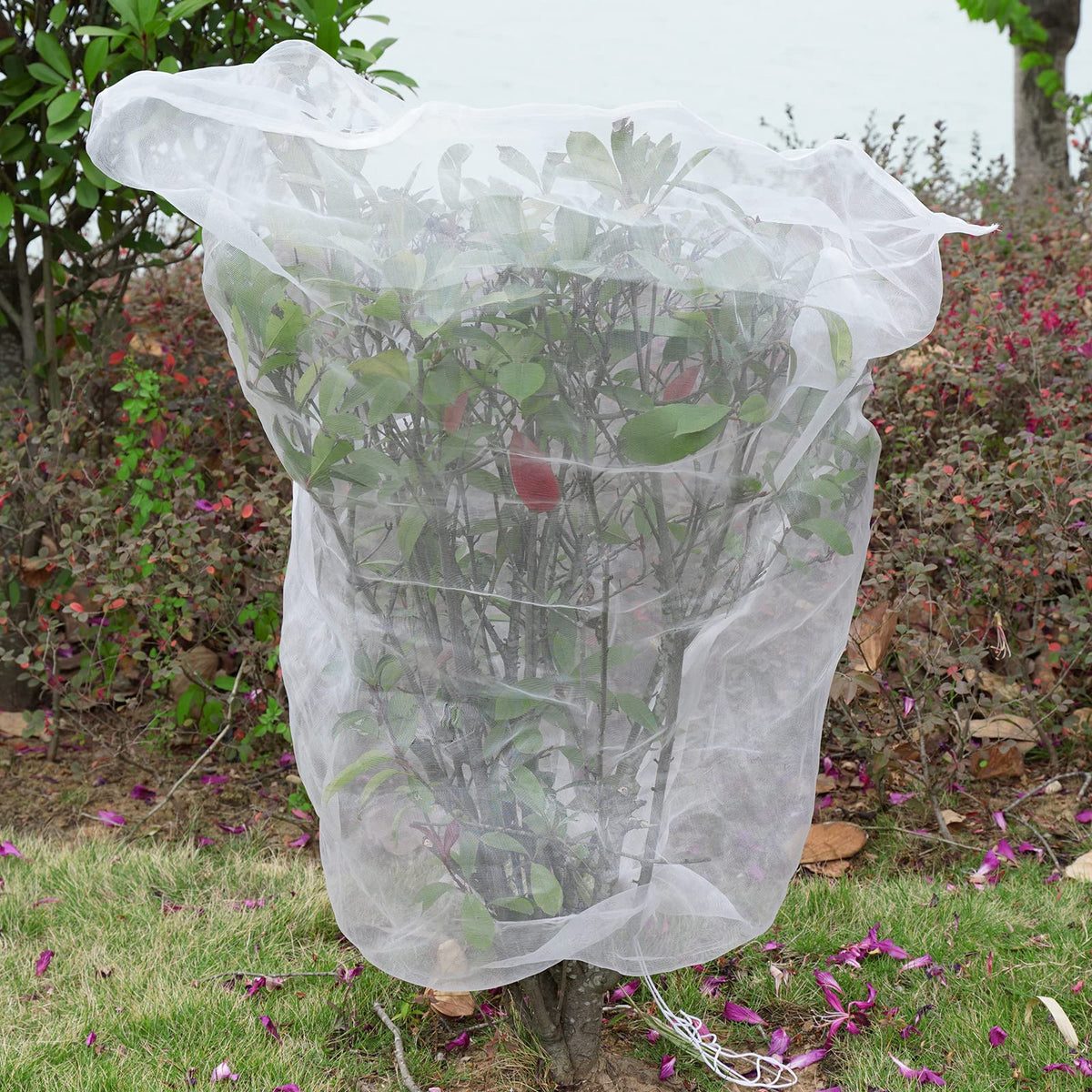 Ruolan bird netting garden blocks birds from fruiting plants.