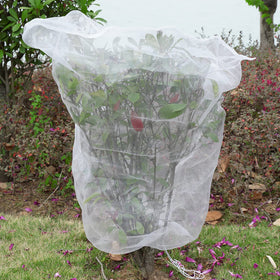 Ruolan bird netting garden blocks birds from fruiting plants.