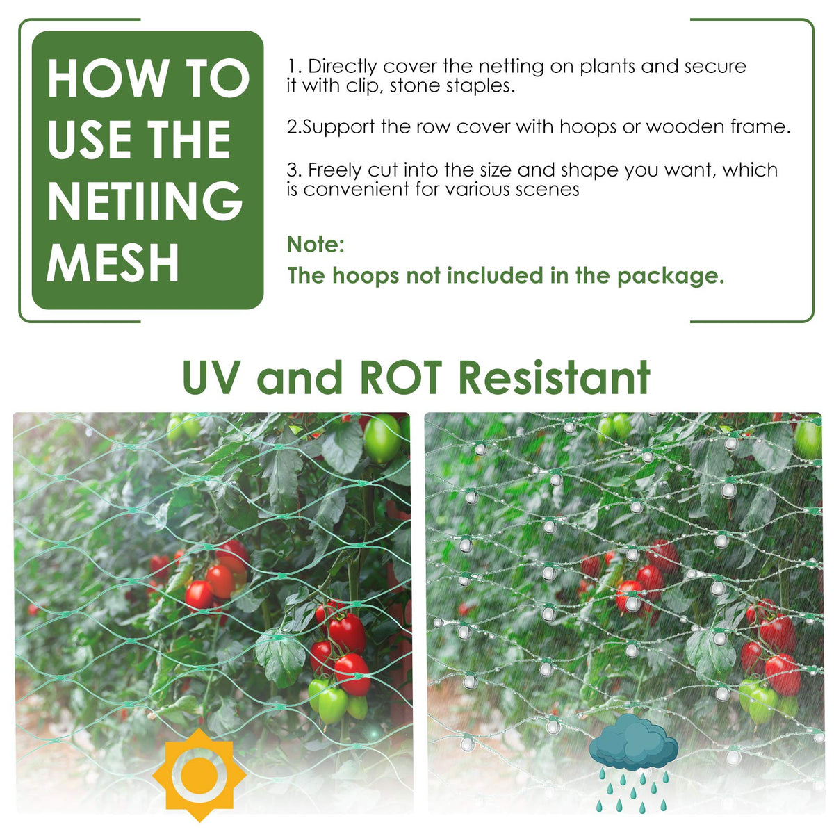 Ruolan netting around strawberries protects fruit from animals.