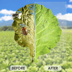 Ruolan garden netting shows breathable mesh over crops for airflow