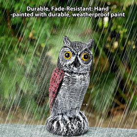 Ruolan garden owl set provides broad coverage across beds and borders.