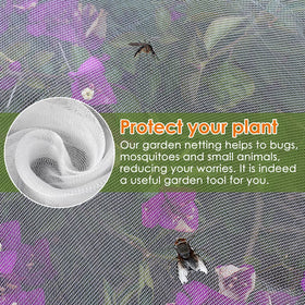 Ruolan tomato plant netting keeps pests away while allowing light.