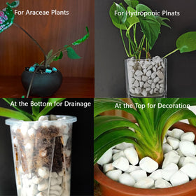 Rurtsva container plant perlite drainage boost for healthy roots.