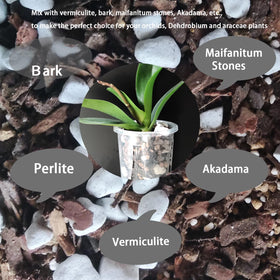 Rurtsva indoor garden perlite top-layer balances moisture in containers.