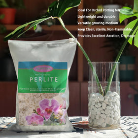 Rurtsva orchid-dendrobium perlite mix enhances aeration for epiphytic orchids.