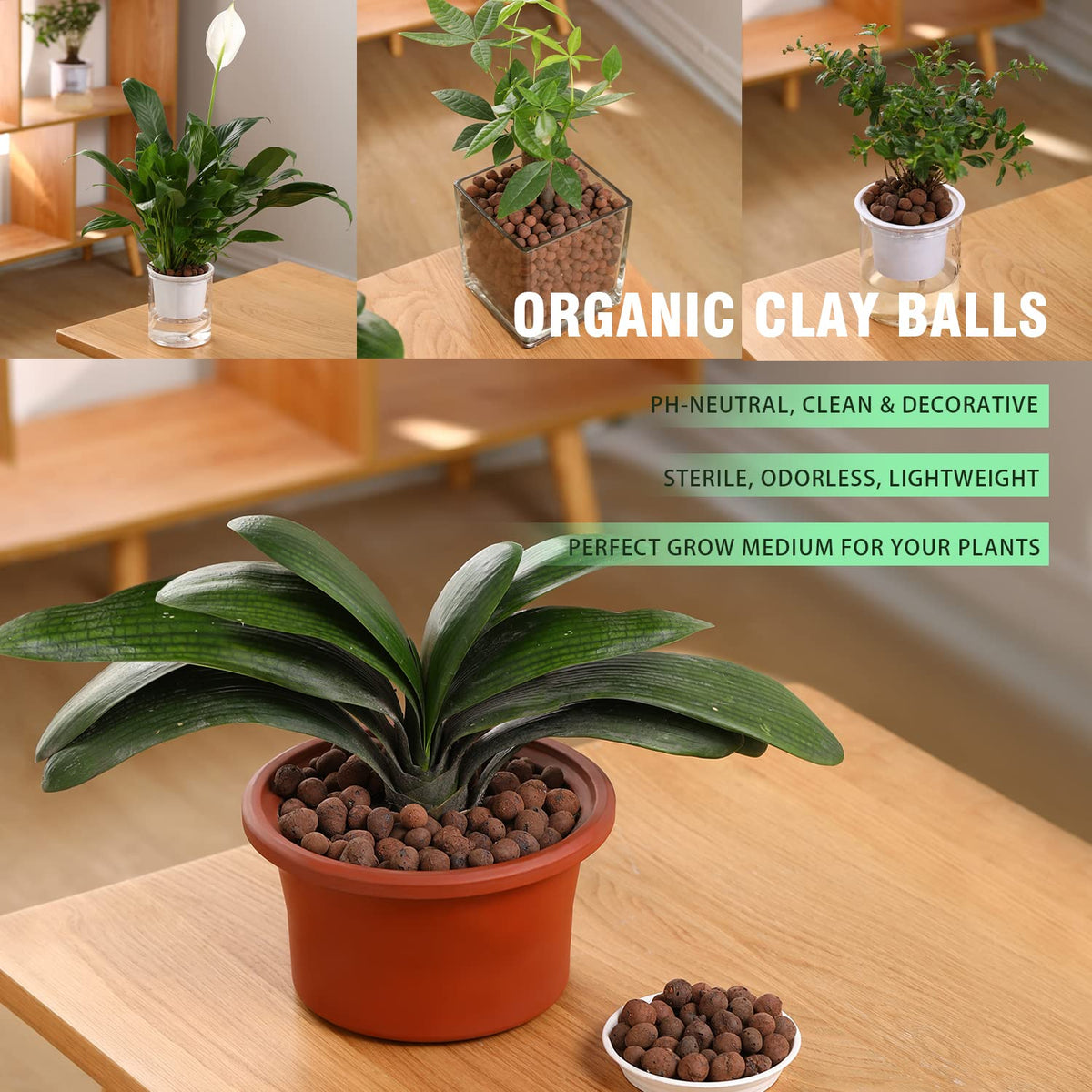 Rurtsva orchid potting mix uses leca for gentle root protection.