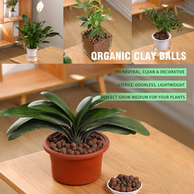 Rurtsva orchid potting mix uses leca for gentle root protection.