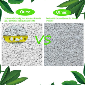Rurtsva perlite drainage boost for cactus and succulent potting