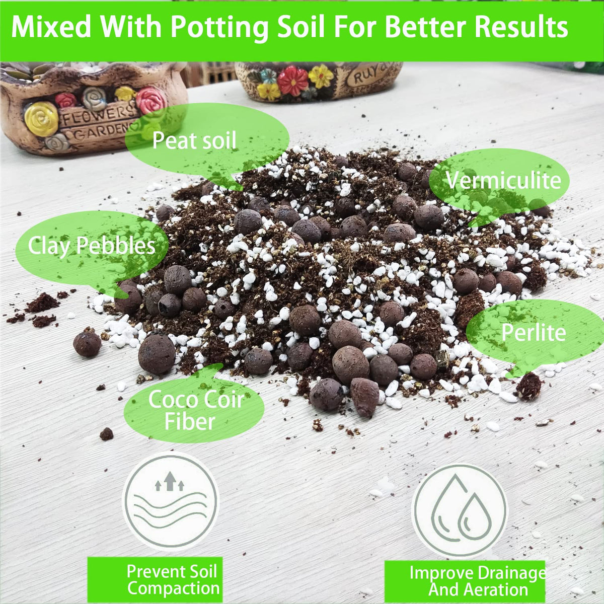 Rurtsva propagation with perlite supports healthy cuttings and quick establishment