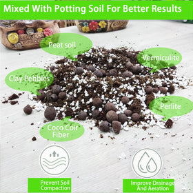 Rurtsva propagation with perlite supports healthy cuttings and quick establishment