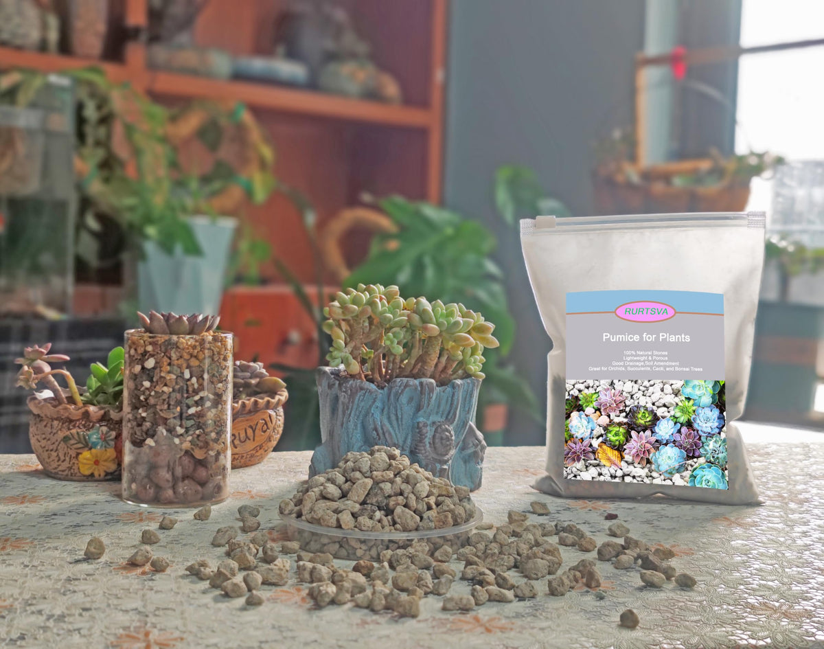 Rurtsva pumice supports continuous moisture release to reduce frequent watering.
