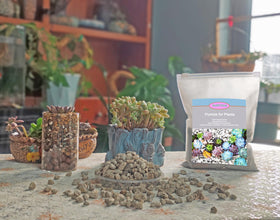 Rurtsva pumice supports continuous moisture release to reduce frequent watering.