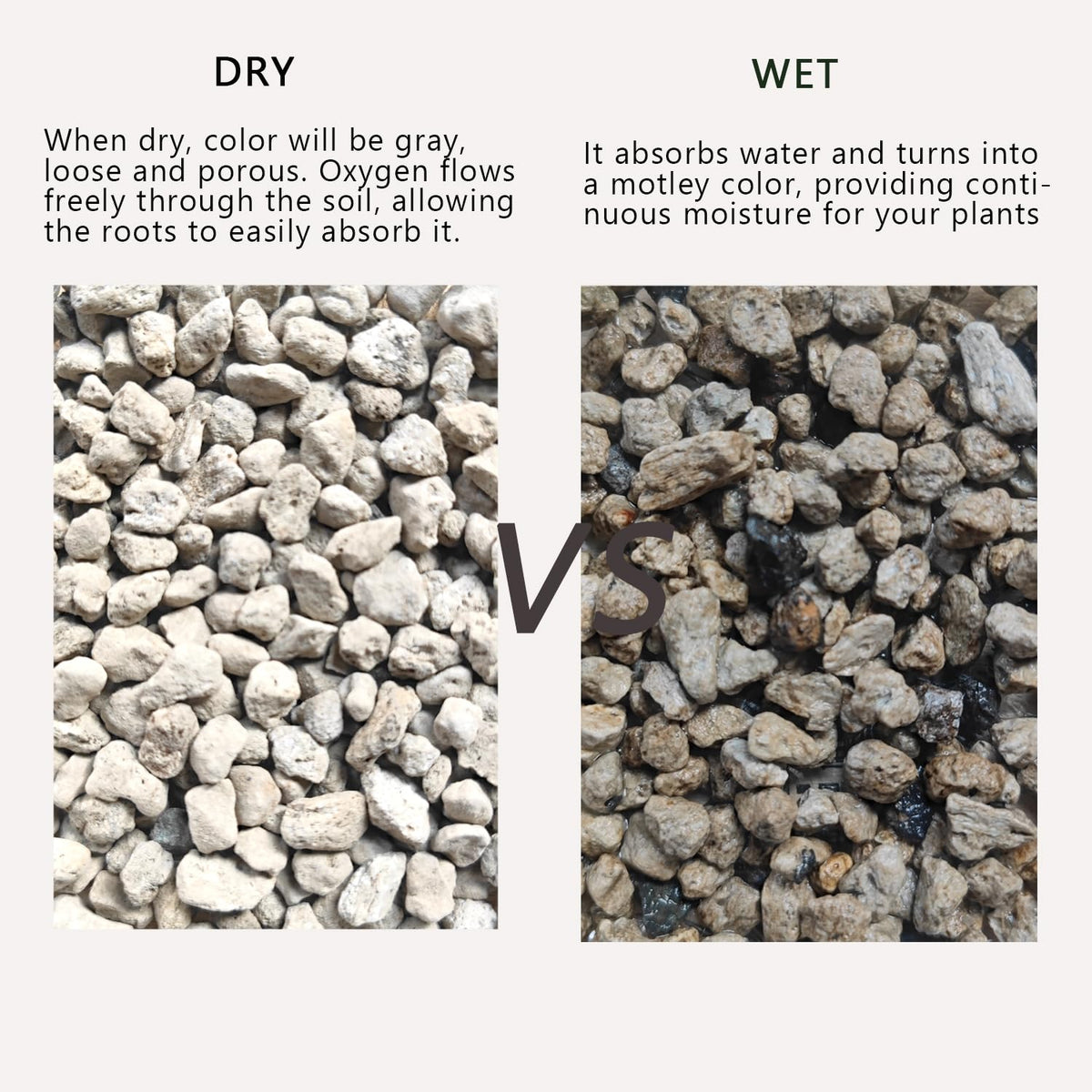 Rurtsva pumice improves soil structure, promoting drainage and airflow for potted plants.