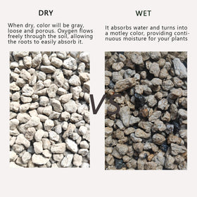 Rurtsva pumice improves soil structure, promoting drainage and airflow for potted plants.