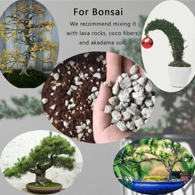 Rurtsva pumice soil amendment enhances bonsai soil by keeping it loose and breathable.