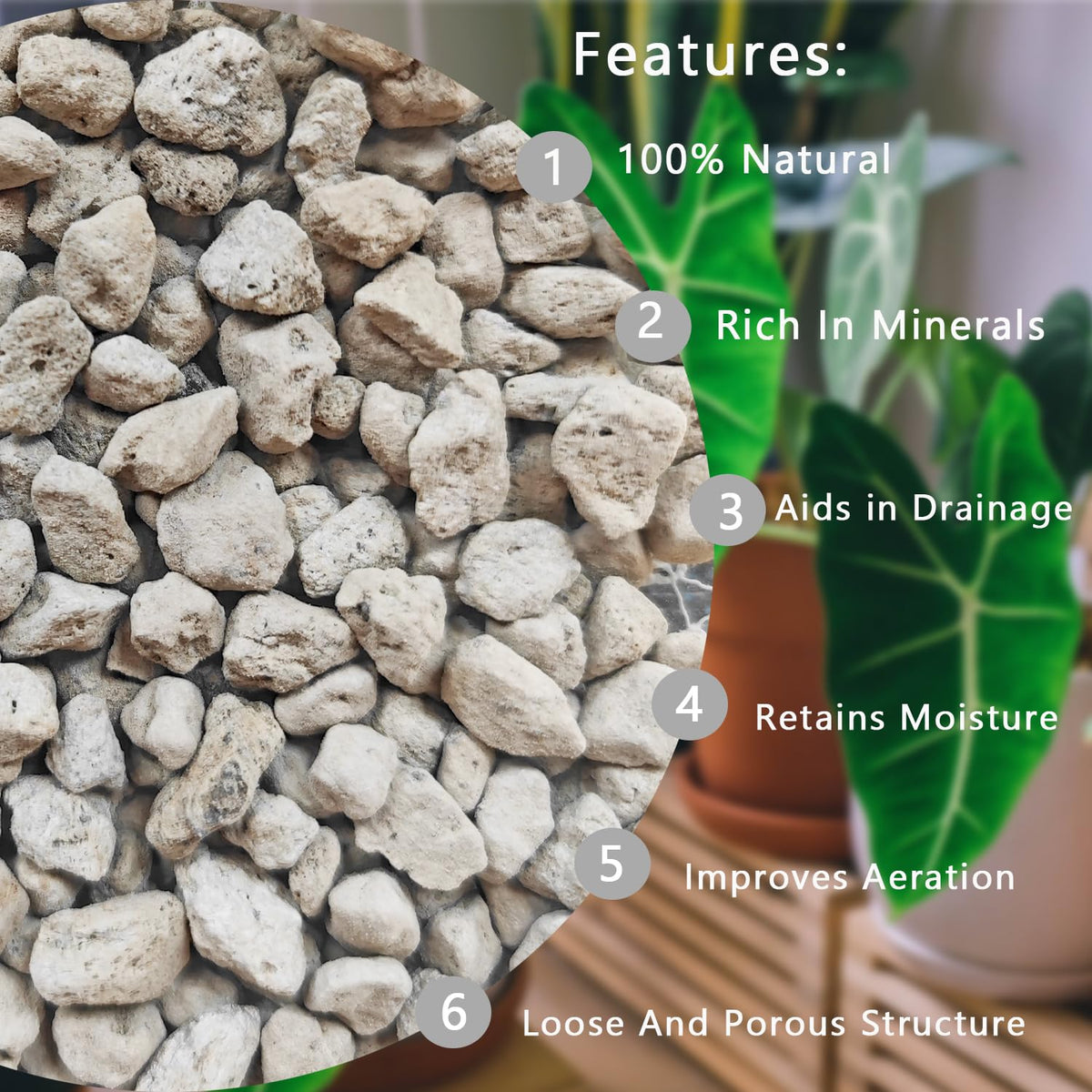 Rurtsva pumice stones for succulents provide steady moisture release and prevent root rot.
