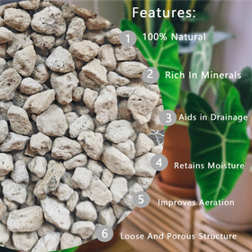 Rurtsva pumice stones for succulents provide steady moisture release and prevent root rot.