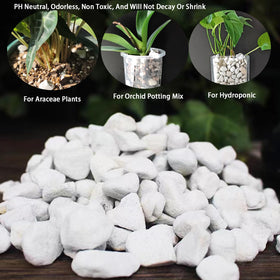Rurtsva succulent potting perlite improves drainage without weighing down roots.