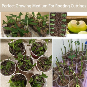 Rurtsva vermiculite moisture retention enhances resilience during dry periods.