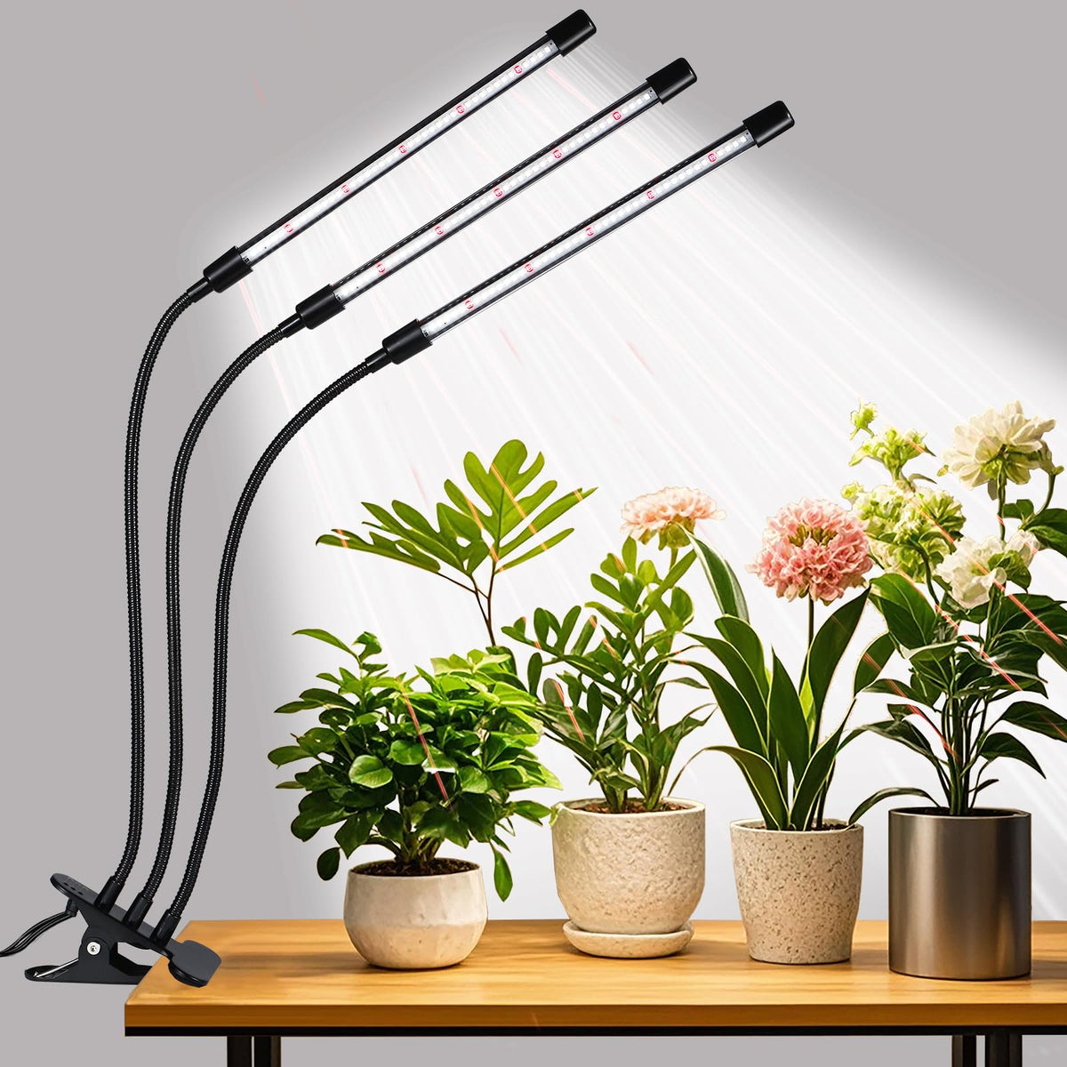 RWNTAO 3-head grow light clip powering healthy herb growth