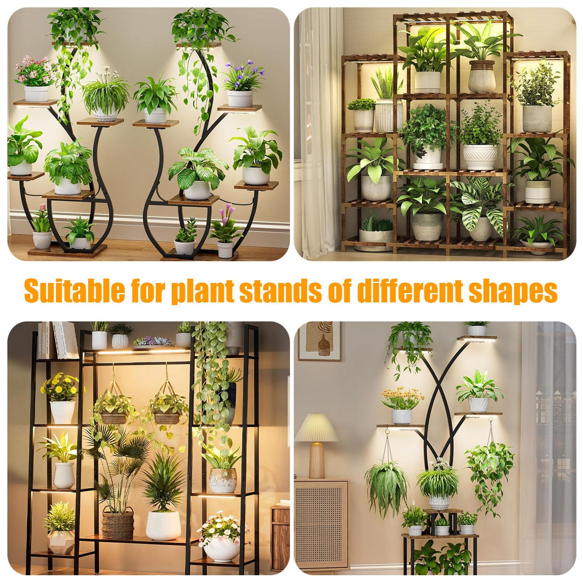 RWNTAO applications for various plants promote steady growth